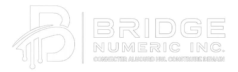 BRIDGE NUMERIC INC.